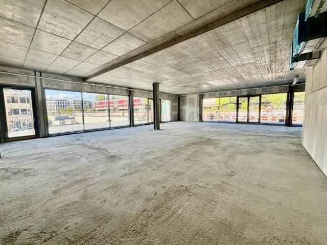 Workshop for rent in Renens VD 500 m² | dreamo. Ch