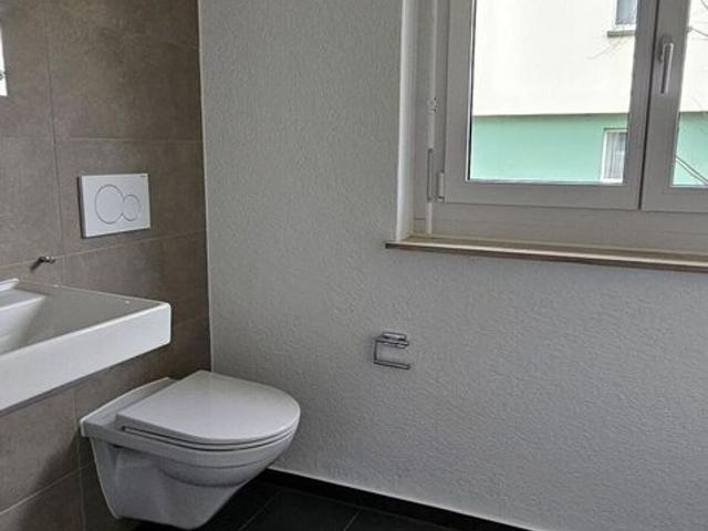 Workshop for rent in Reinach BL 53 m² | dreamo. Ch