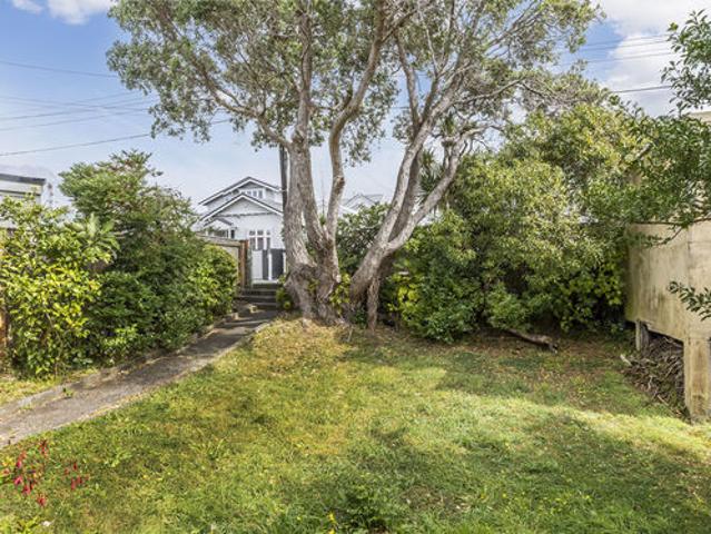 Worst house, best street hataitai gem!