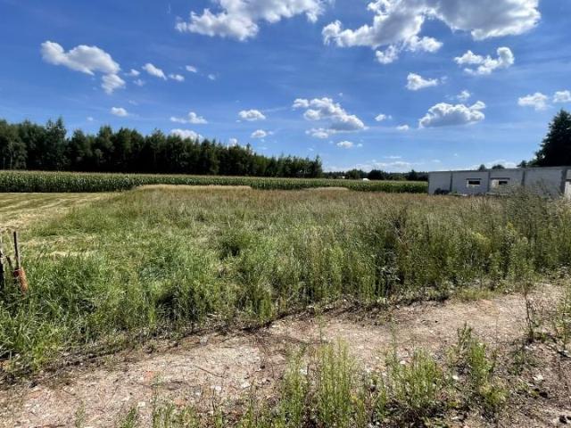 Wspólna 1 367 m², Byków
