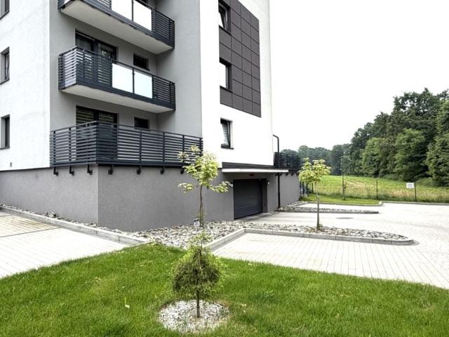 Wspólna, 25 m², Bielsko Biała