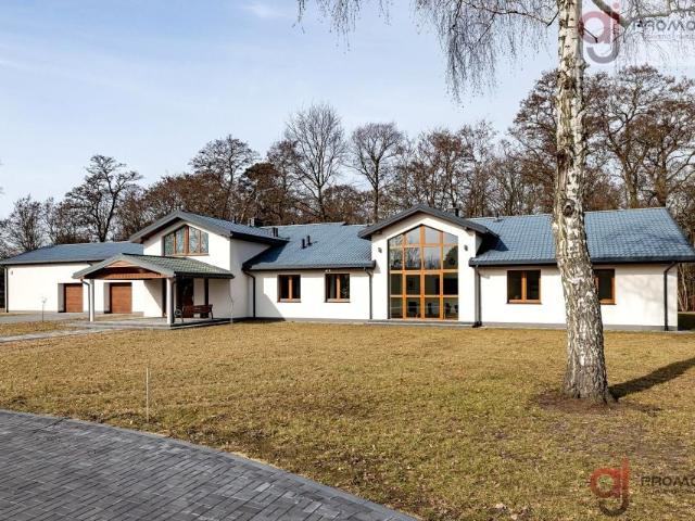 Wróblewska 443 m², Wróblew