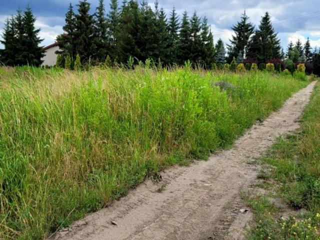 Wróblewskiego 930 m², Radzymin