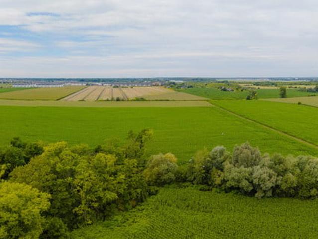Wrocław, Muchobór Wielki