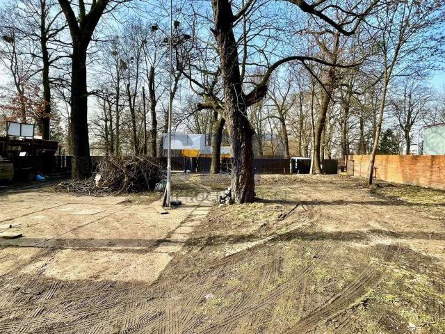 Wrocław, Krzyki, Krzyki, 1 100 m2