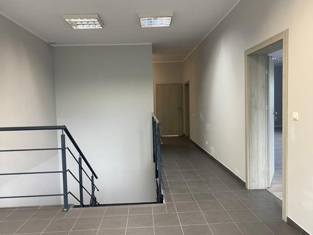 Wrocław, Psie Pole, Lipa Piotrowska