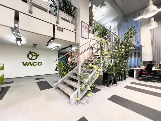 Wrocław, Stare Miasto, Dąbrowskiego Henryka, 343,30 m2