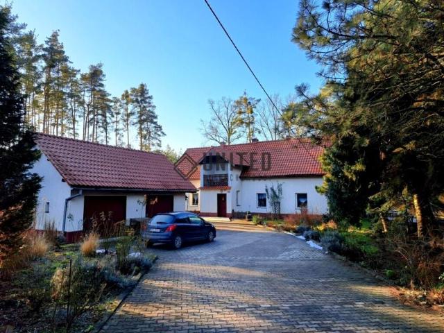 Wrocławska 204 m², Nowy Dwór