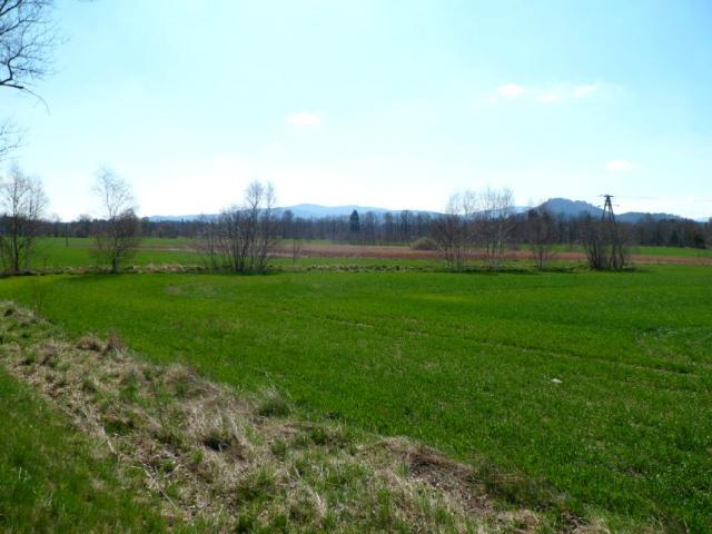 Wrocławska 22 000 m², Jelenia Góra