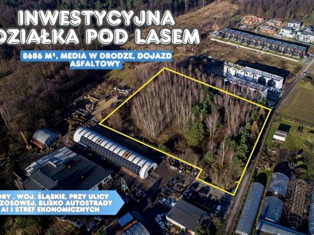 Wrzosowa 8 686 m², Żory