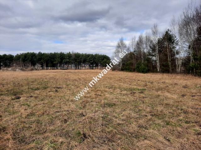 Www.mkwadrat.eu 12 670 m², Janczewice