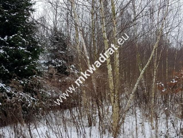Www.mkwadrat.eu 14 000 m², Marków Towarzystwo