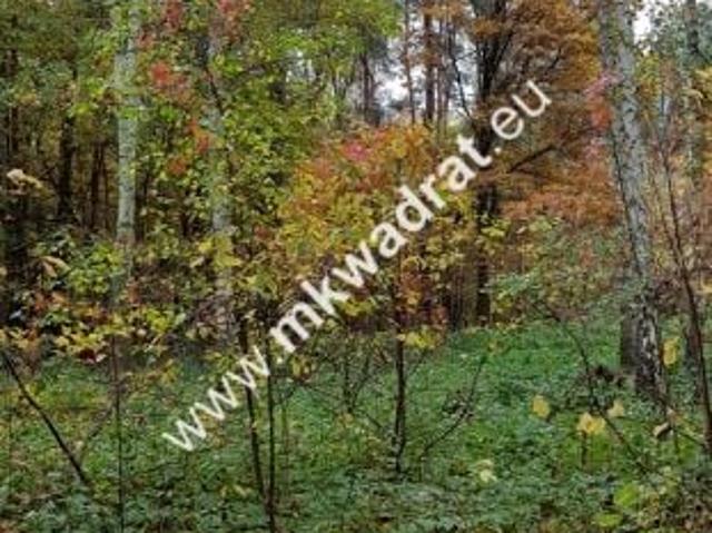 Www.mkwadrat.eu 1 700 m², Siestrzeń