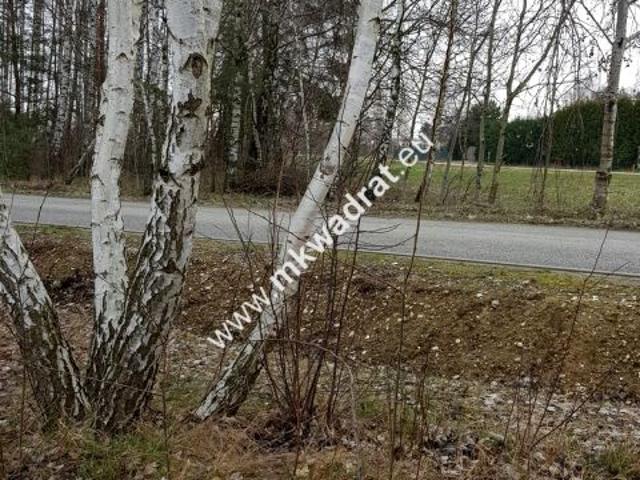 Www.mkwadrat.eu 1 916 m², Żelechów