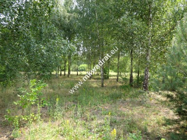 Www.mkwadrat.eu 1 000 m², Ojrzanów