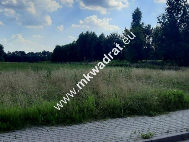Www.mkwadrat.eu 21 000 m², Łazy