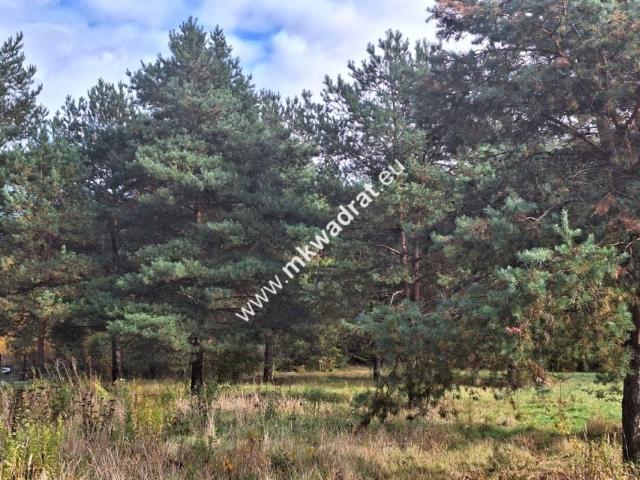 Www.mkwadrat.eu 6 700 m², Nadarzyn