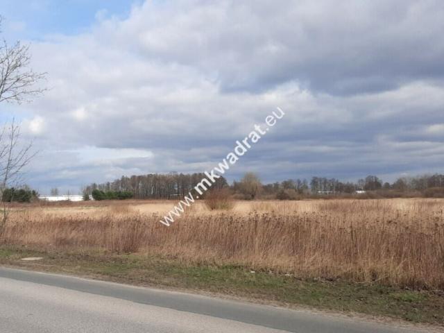 Www.mkwadrat.eu 6 000 m², Oddział