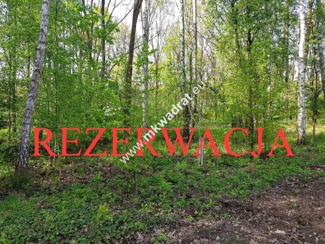Www.mkwadrat.eu 8 100 m², Stare Budy Radziejowskie