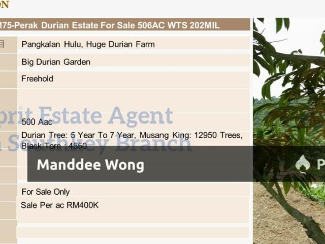 WTS/Durian Estate/Pengkalan Hulu, Perak/500 Acres/400,000
