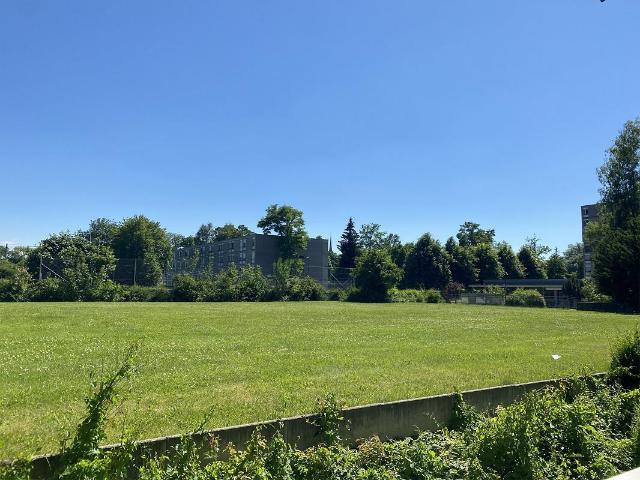 Wunderschöne 3.5 Zimmer Wohnung mit Aussicht ins Grüne