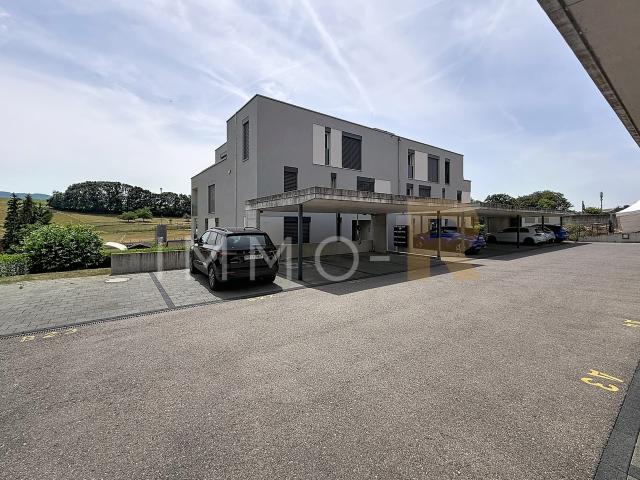 Wunderschöne 3.5 Zimmer Wohnung mit grosser Loggia und freiem Ausblick