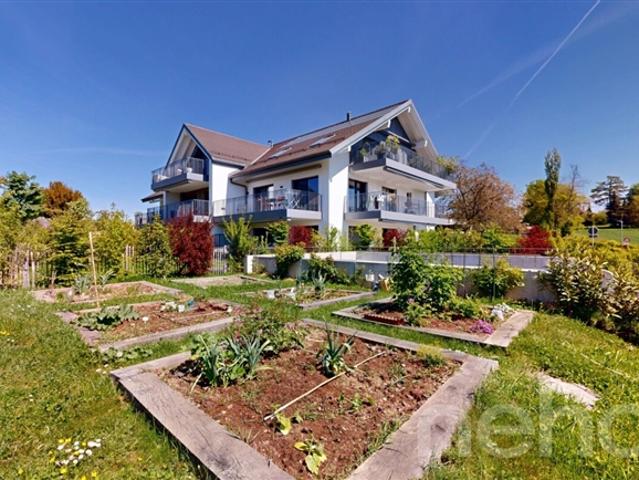 Wunderschöne 3,5 Zimmer Wohnung im Herzen des Grüns in St Saphorin/Morges