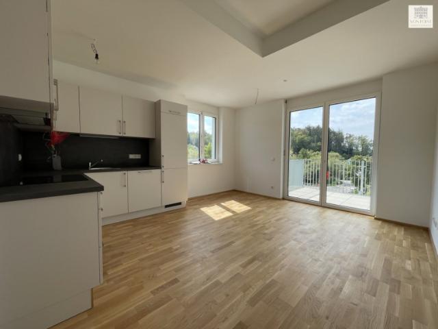 Wunderschöne 3 Zimmer Wohnung mit großzügigem Balkon und traumhaftem Ausblick