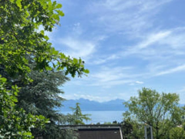 Wunderschöne 2,5 Zimmer Wohnung mit außergewöhnlicher Lage und Seeblick!