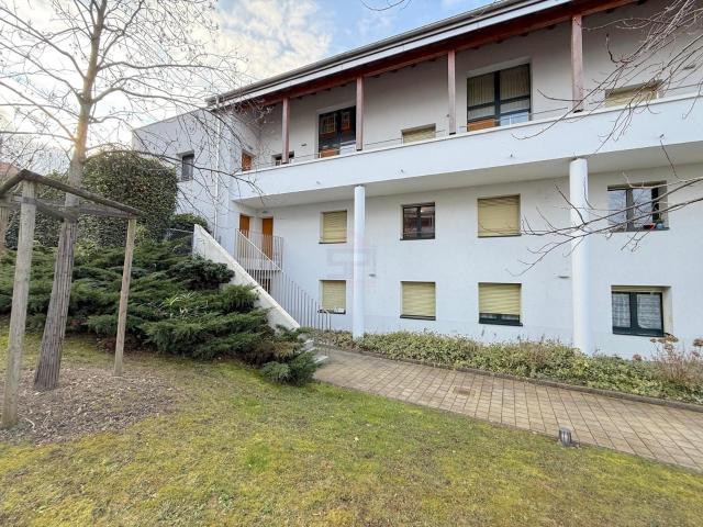 Wunderschöne 5 Zimmer Wohnung