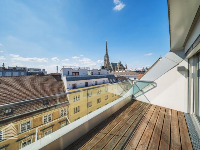 Wunderschöne 5 Zimmer Wohnung mit Terrassen, Nähe Stephansdom