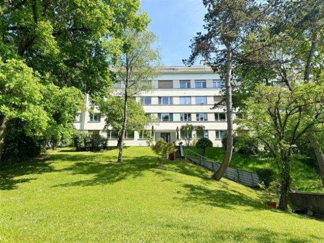 Wunderschöne renovierte 3 Zimmer Wohnung