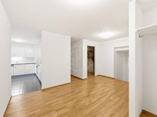 Wunderschöne Wohnung Le Grand Saconnex