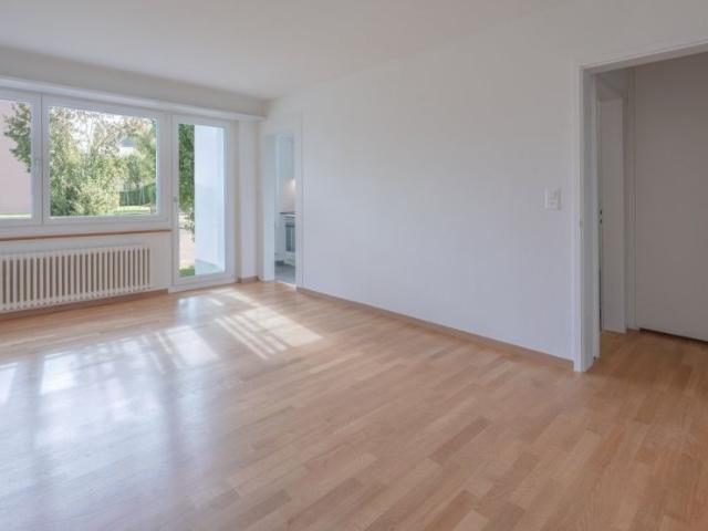 Wunderschöne Wohnung sucht neuen Mieter/in