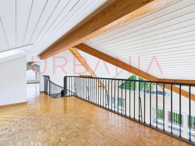 Wunderschönes Apartment mit 191m², Terrasse und Mezzanin