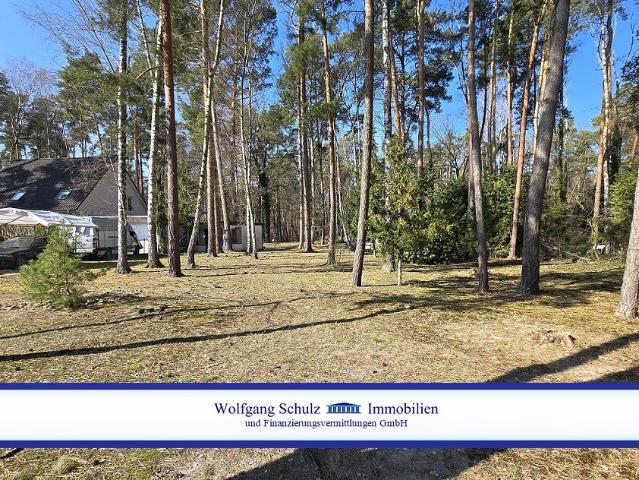 Wunderschönes Baugrundstück für großzügige Bebauung in Blankenfelde bauträgerfrei