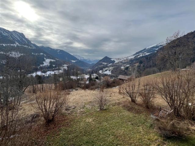 Wunderschönes Chalet zur Renovierung in Ormont Dessous