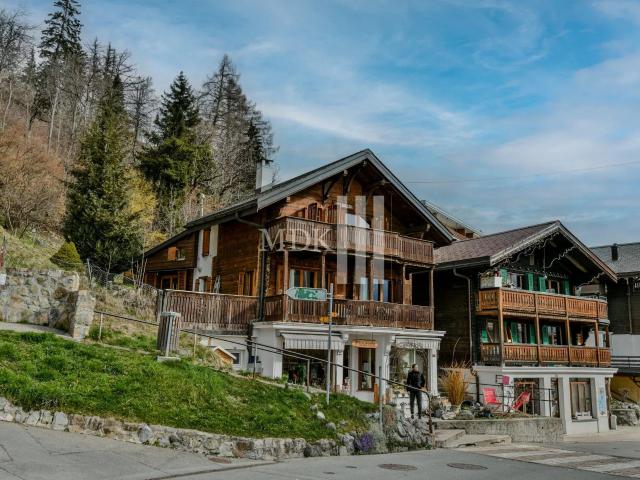 Wunderschönes Chalet mit einer Wohnung und einem Geschäft