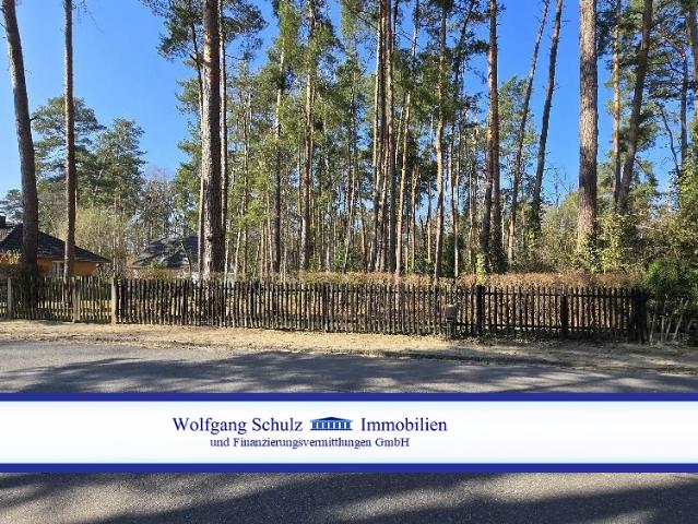 Wunderschönes geplantes hinteres Teilstück für Ihr Traumhaus in Blankenfelde bauträgerfrei