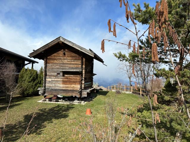 Wunderschönes Grundstück zum Bau eines Chalets 220m2 in der Hauptressorte