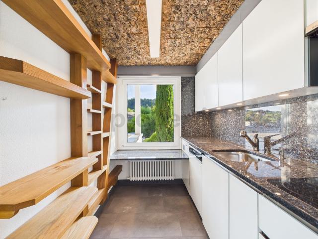 Wunderschönes Haus mit Pool und Garten in Freienwil | dreamo. Ch