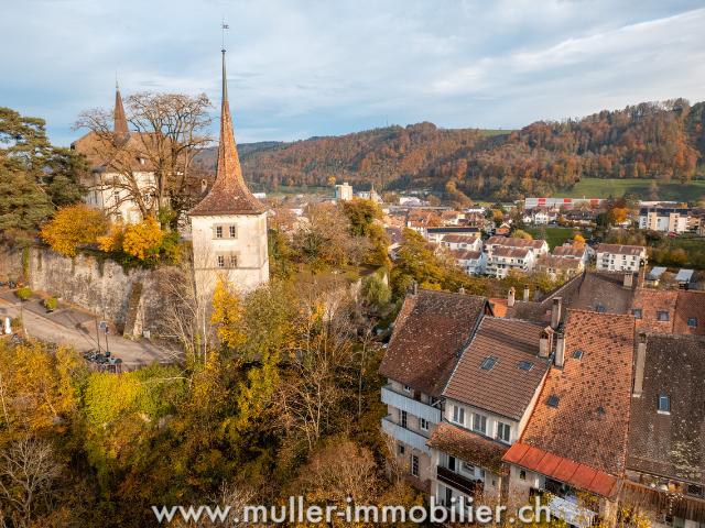 Wunderschönes renoviertes Apartment im Herzen von Moudon