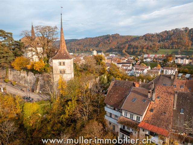 Wunderschönes renoviertes Apartment im Herzen von Moudon