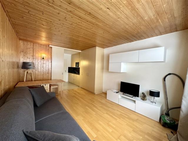 Wunderschönes Studio Apartment im Zentrum von Montana. Kostenlos 06.01.2026