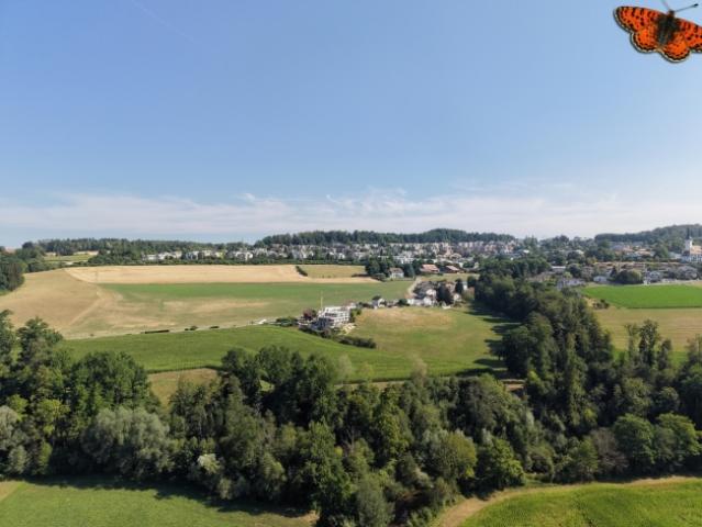 Wunderschönes 3.5 Zimmer Apartment mit privatem Garten und schöner Aussicht