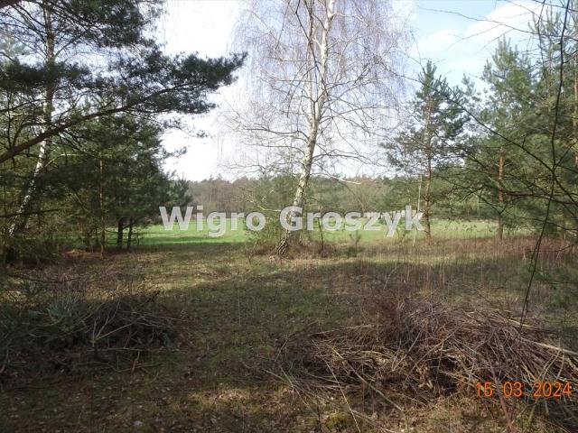 Wymysły, Limonkowa, 1 000 m2