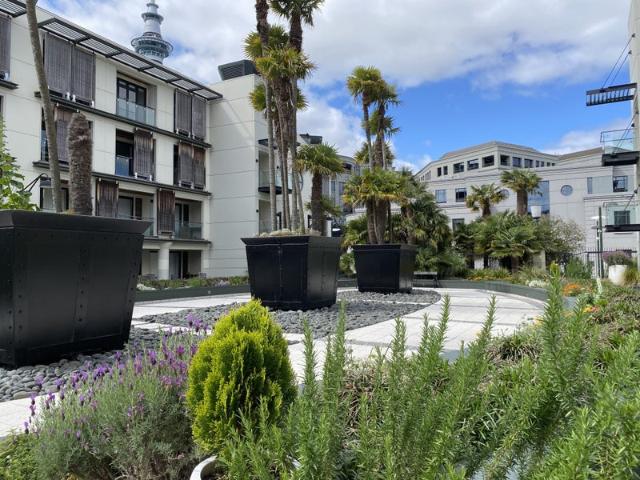 wynyard quarter, studio