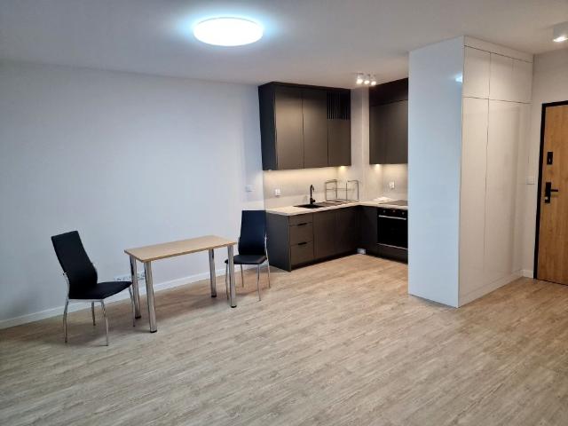 Wynajmę 1 pokojowe mieszkanie 34 m2 w Borku Fałęckim Kraków, Łagiewniki