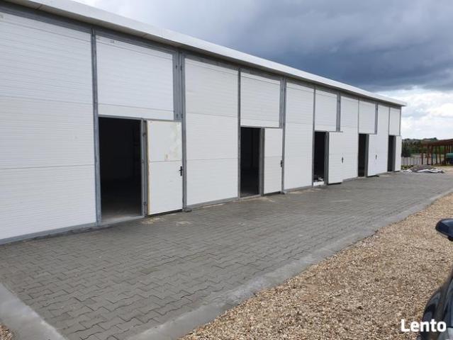 Wynajmę lokal 35 m2 Kielce Dyminy