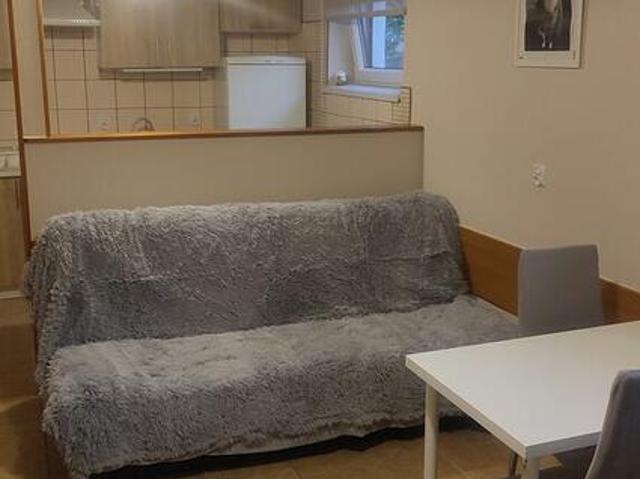 WYNAJMĘ mieszkanie 1 pokojowe